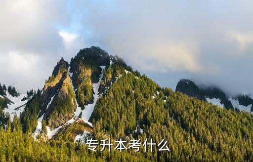  專(zhuān)升本考什么