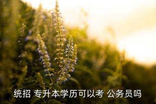 統(tǒng)招 專升本學(xué)歷可以考 公務(wù)員嗎