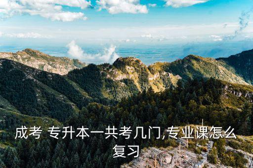 成考 專升本一共考幾門,專業(yè)課怎么復習