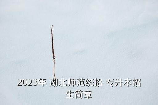 2023年 湖北師范統(tǒng)招 專(zhuān)升本招生簡(jiǎn)章