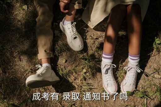 成考有 錄取 通知書(shū)了嗎