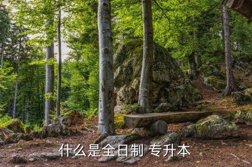 統(tǒng)召專升本是什么意思