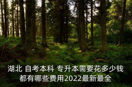 湖北 自考本科 專升本需要花多少錢都有哪些費用2022最新最全
