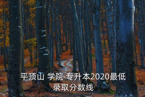  平頂山 學(xué)院 專(zhuān)升本2020最低 錄取分?jǐn)?shù)線