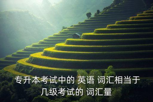  專升本考試中的 英語 詞匯相當于幾級考試的 詞匯量