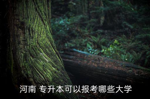  河南 專(zhuān)升本可以報(bào)考哪些大學(xué)