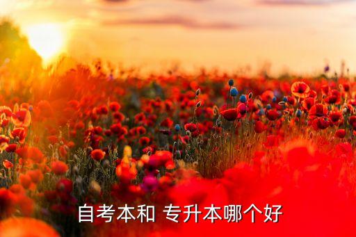  自考本和 專升本哪個好