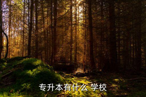 專(zhuān)升本有什么 學(xué)校
