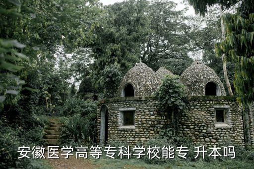 安徽醫(yī)學高等?？茖W校能專 升本嗎