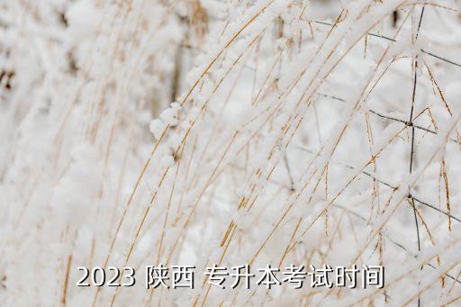 2023 陜西 專(zhuān)升本考試時(shí)間