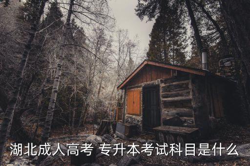 2017年成考專升本藝術(shù)概論,黑龍江專升本2017年藝術(shù)概論真題