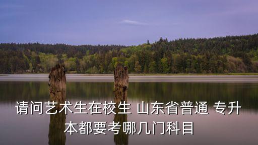 請問藝術(shù)生在校生 山東省普通 專升本都要考哪幾門科目