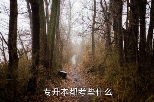 專升本英語(yǔ)必考嗎,2022年專升本英語(yǔ)考試試卷