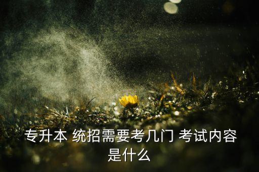  專升本 統(tǒng)招需要考幾門(mén) 考試內(nèi)容是什么