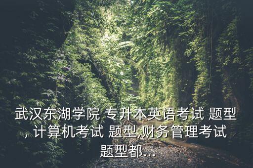 武漢東湖學(xué)院 專升本英語考試 題型, 計(jì)算機(jī)考試 題型,財(cái)務(wù)管理考試 題型都...