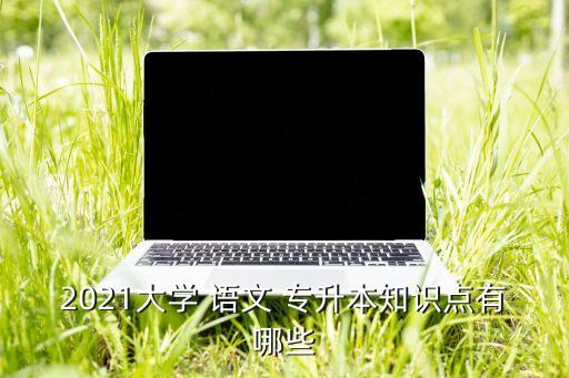 2021大學(xué) 語文 專升本知識點有哪些