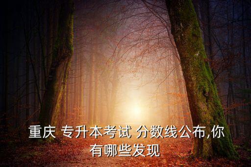  重慶 專升本考試 分?jǐn)?shù)線公布,你有哪些發(fā)現(xiàn)
