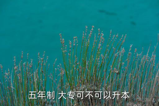 五年制 大?？刹豢梢陨? class=