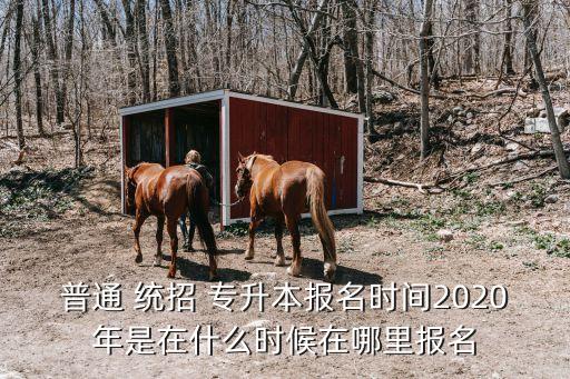 什么時候統(tǒng)招專升本