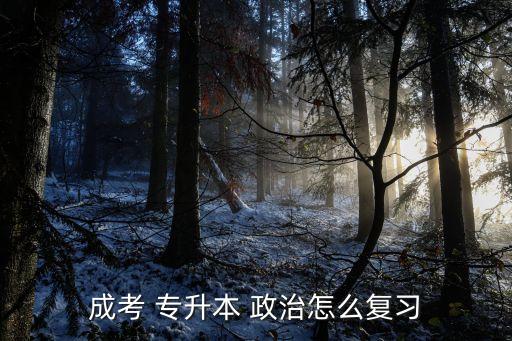 成考 專升本 政治怎么復(fù)習(xí)
