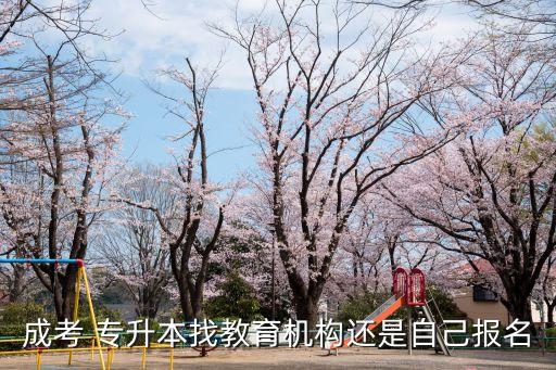 成考 專升本找教育機構還是自己報名