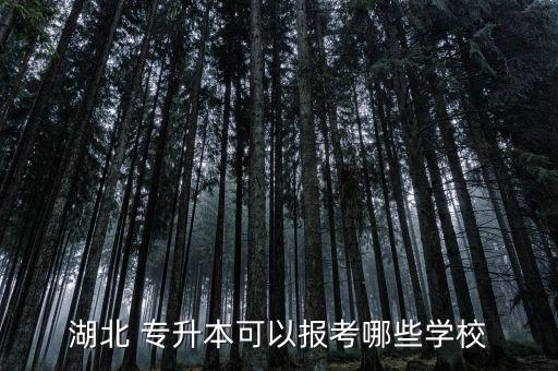 湖北 專升本可以報(bào)考哪些學(xué)校