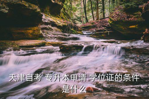 天津自考 專升本申請(qǐng) 學(xué)位證的條件是什么