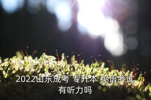 成人高考 專升本英語(yǔ) 語(yǔ)音,2022年成人高考專升本英語(yǔ)真題及答案