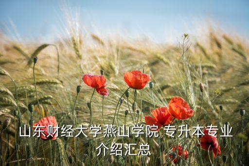  山東財(cái)經(jīng)大學(xué)燕山學(xué)院 專(zhuān)升本專(zhuān)業(yè)介紹匯總