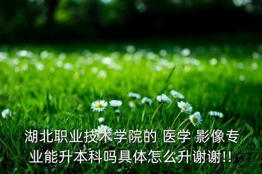  湖北職業(yè)技術(shù)學(xué)院的 醫(yī)學(xué) 影像專(zhuān)業(yè)能升本科嗎具體怎么升謝謝!!
