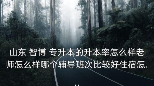 山東 智博 專升本的升本率怎么樣老師怎么樣哪個輔導班次比較好住宿怎...