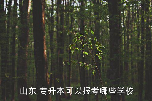  山東 專升本可以報考哪些學(xué)校