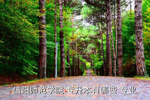 信陽師范學院 專升本有哪些 專業(yè)