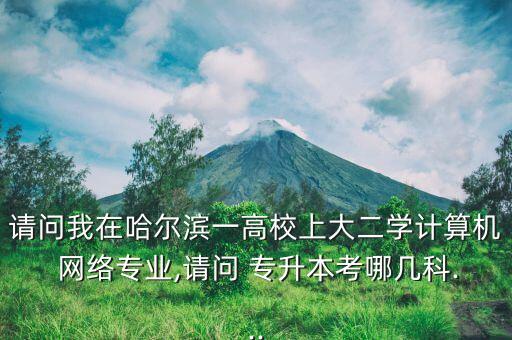 請(qǐng)問(wèn)我在哈爾濱一高校上大二學(xué)計(jì)算機(jī) 網(wǎng)絡(luò)專業(yè),請(qǐng)問(wèn) 專升本考哪幾科...