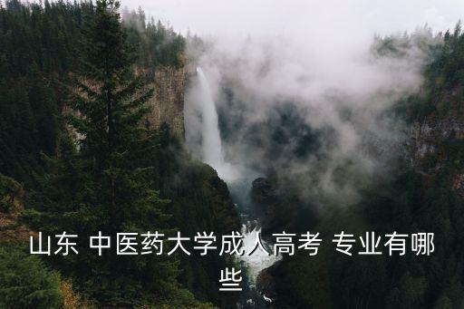 山東 中醫(yī)藥大學(xué)成人高考 專(zhuān)業(yè)有哪些