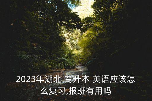 2023年湖北 專升本 英語應(yīng)該怎么復(fù)習(xí),報班有用嗎