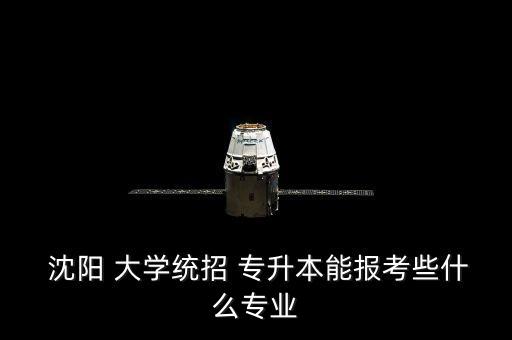  沈陽(yáng) 大學(xué)統(tǒng)招 專升本能報(bào)考些什么專業(yè)