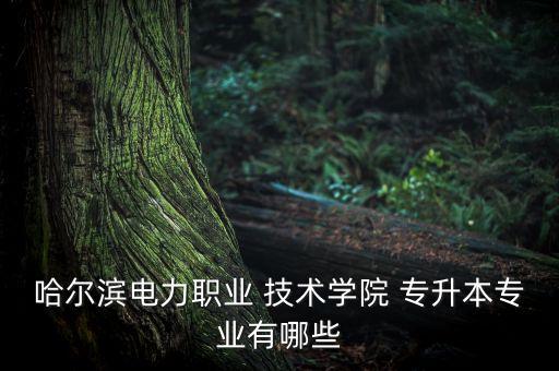 哈爾濱電力職業(yè) 技術學院 專升本專業(yè)有哪些