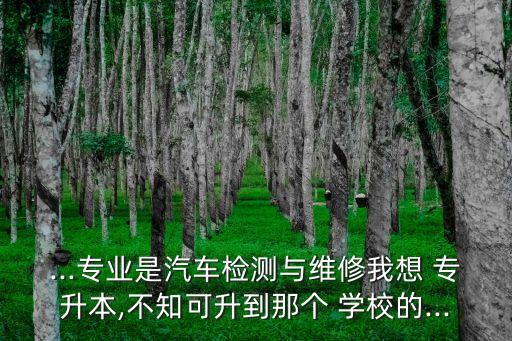煙臺(tái)專升本學(xué)校有哪些,山東煙臺(tái)專升本學(xué)校及專業(yè)