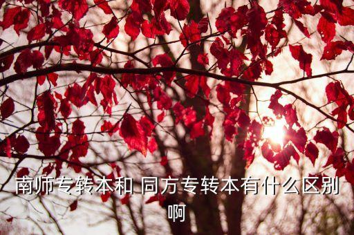 南師專轉本和 同方專轉本有什么區(qū)別啊
