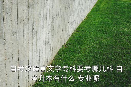  自考漢語(yǔ)言文學(xué)?？埔寄膸卓?自考升本有什么 專業(yè)呢
