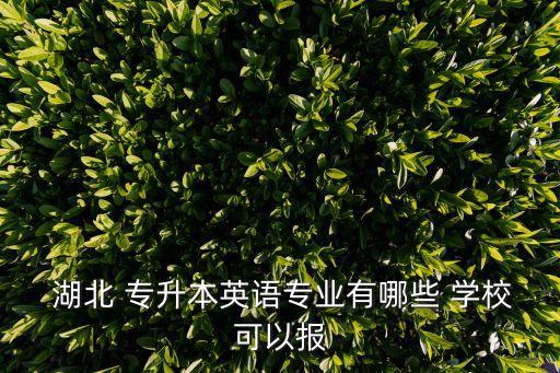  湖北 專升本英語專業(yè)有哪些 學(xué)?？梢詧? class=