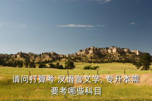 請問打算考 漢語言文學(xué), 專升本需要考哪些科目