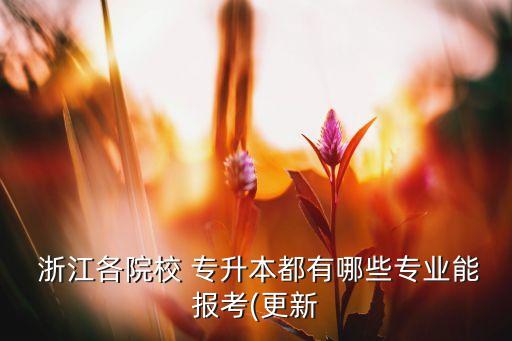  浙江各院校 專升本都有哪些專業(yè)能報考(更新