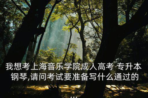 我想考上海音樂(lè)學(xué)院成人高考 專升本 鋼琴,請(qǐng)問(wèn)考試要準(zhǔn)備寫什么通過(guò)的...