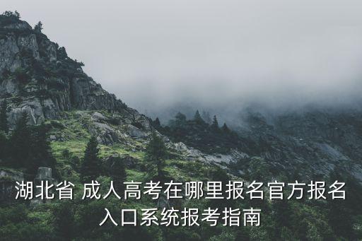 湖北省 成人高考在哪里報(bào)名官方報(bào)名入口系統(tǒng)報(bào)考指南