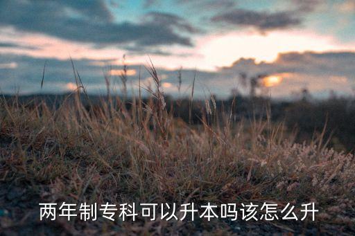  兩年制專科可以升本嗎該怎么升