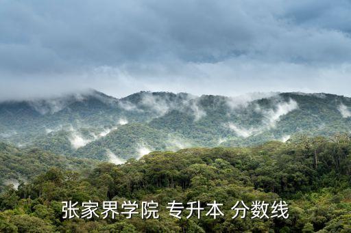 張家界學院 專升本 分數(shù)線