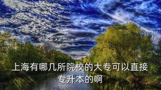  上海有哪幾所院校的大?？梢灾苯?專升本的啊