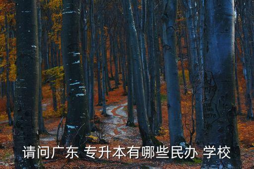 請(qǐng)問(wèn)廣東 專升本有哪些民辦 學(xué)校